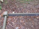 image of grave number 205497